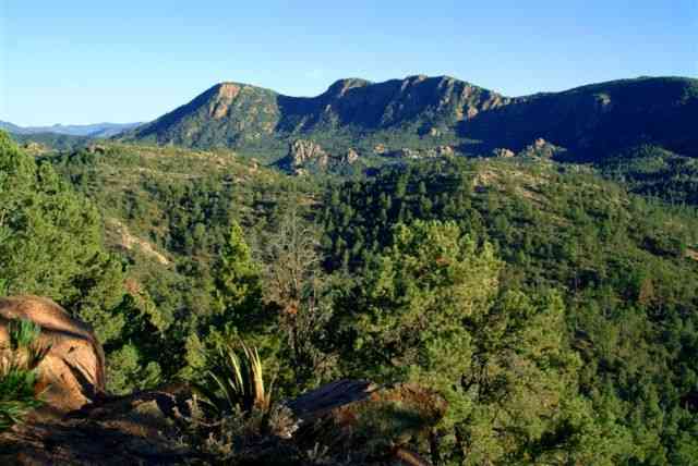 Real Estate Payson Arizona Lake in the Trees