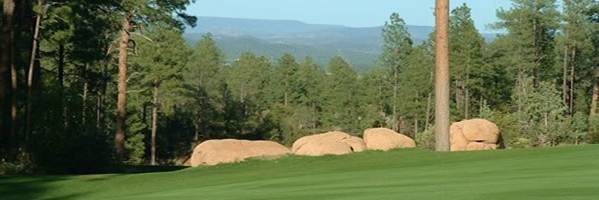 The Rim Golf Club - Golf Property The Rim Golf Club