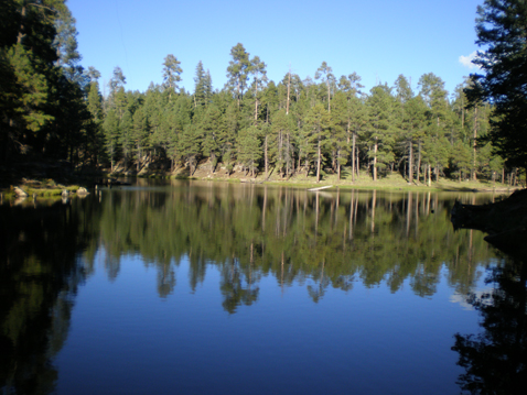Real Estate Payson Arizona Lake in the Trees